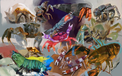 CrustaceanStudies
